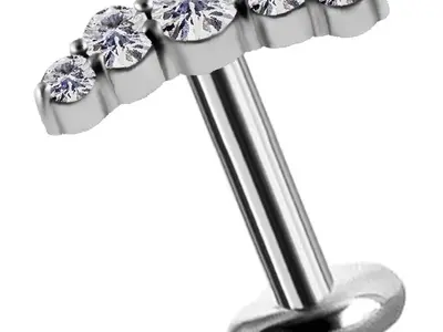 PIERCINGLINE Segmentring-clicker van titanium, piercing voor neus
