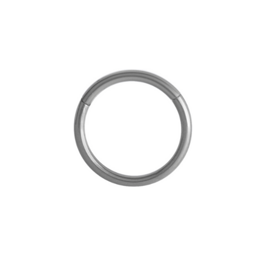 Niobium Segment Oor Ring  - Basic