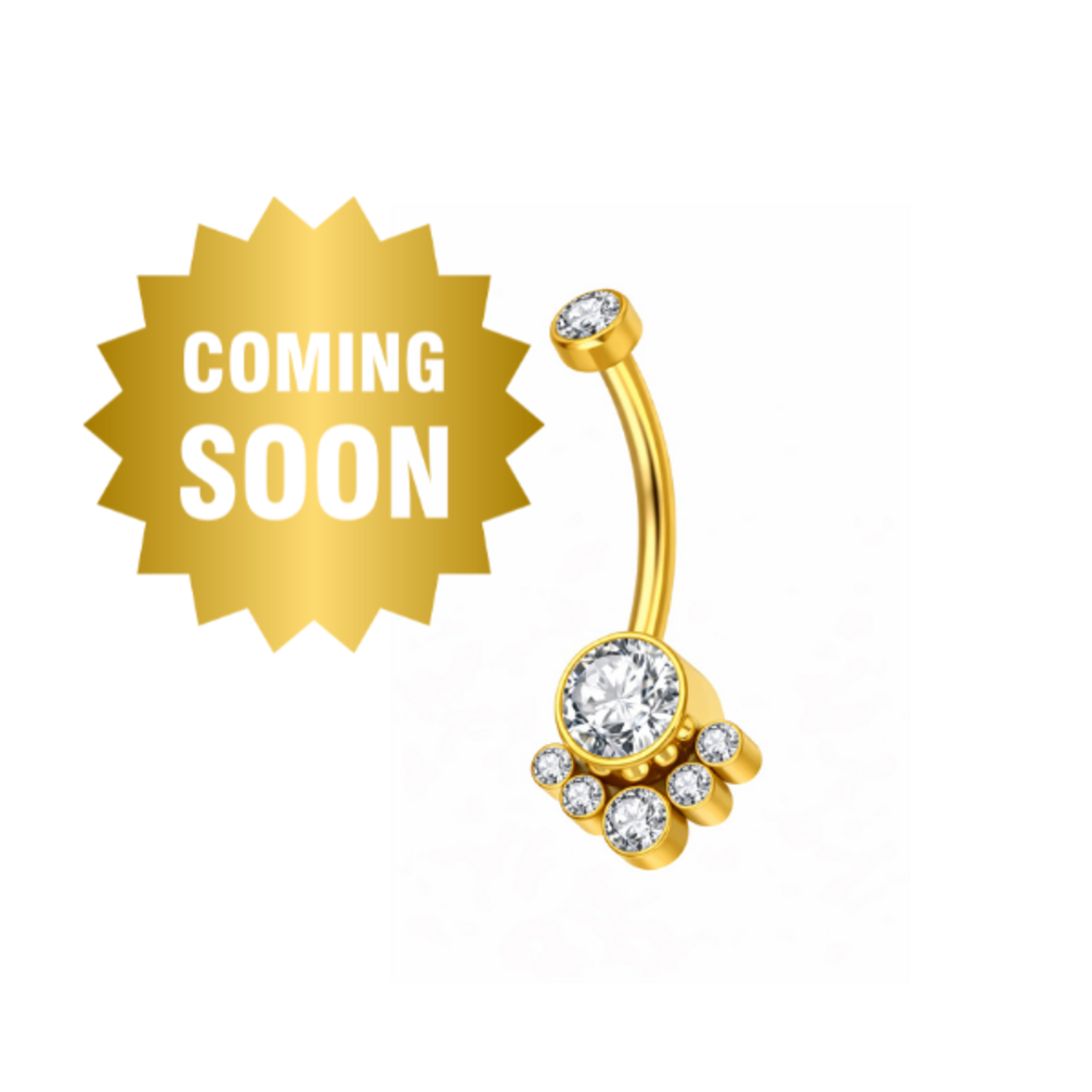 Titanium Navel Piercing Verguld met Kristalcluster