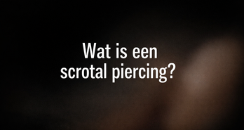 Scrotal Piercing (Hafada): Genezing, Risico’s, Nazorg & Wetenschappelijke Inzichten | Amsterdam Expert Guide