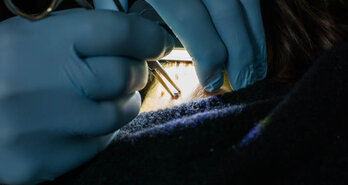 Minder pijn bij een piercing: hoe korte verkoeling en focus samen het verschil maken