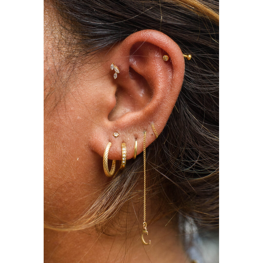 Butterfly Crystal Ear Piercing – Titanium & Gold PVD