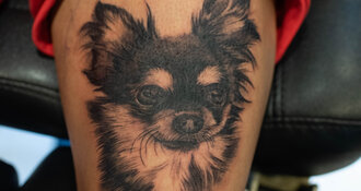 Een huisdier tattoo is nooit zomaar een portret