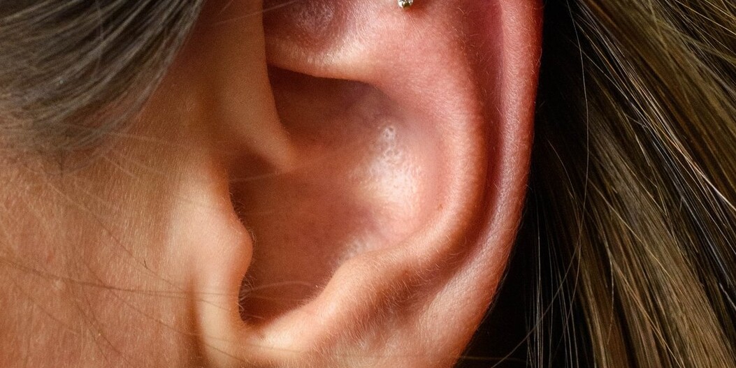 Hoop vs stud: how to choose the right jewellery for your piercing