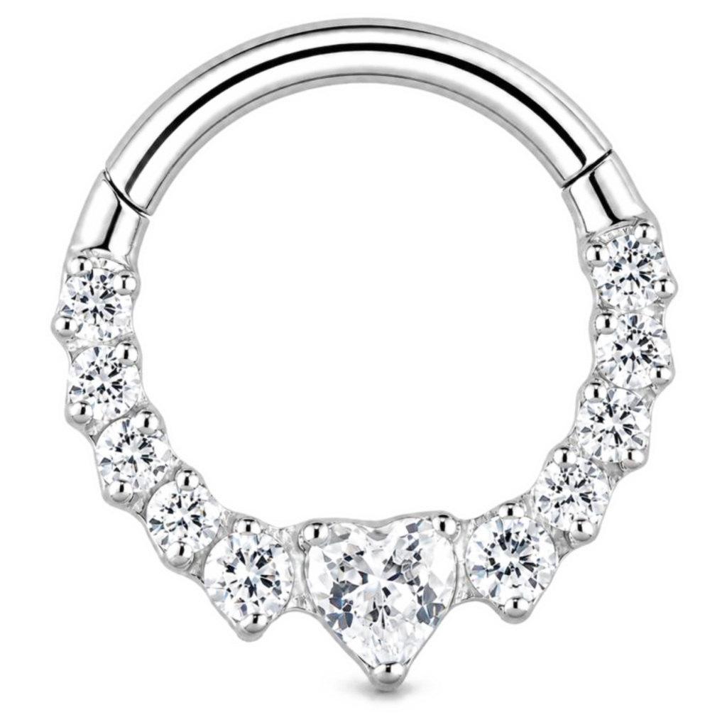 Titanium Hinged Ring met Premium Zirkonia Rij