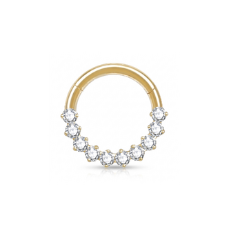 Piercings Works Titanium Hinged Ring met Druppelstenen