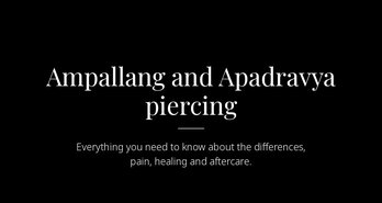 Ampallang and Apadravya piercing: differences, pain, healing