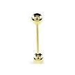 18K Gold Plated Barbell Basic