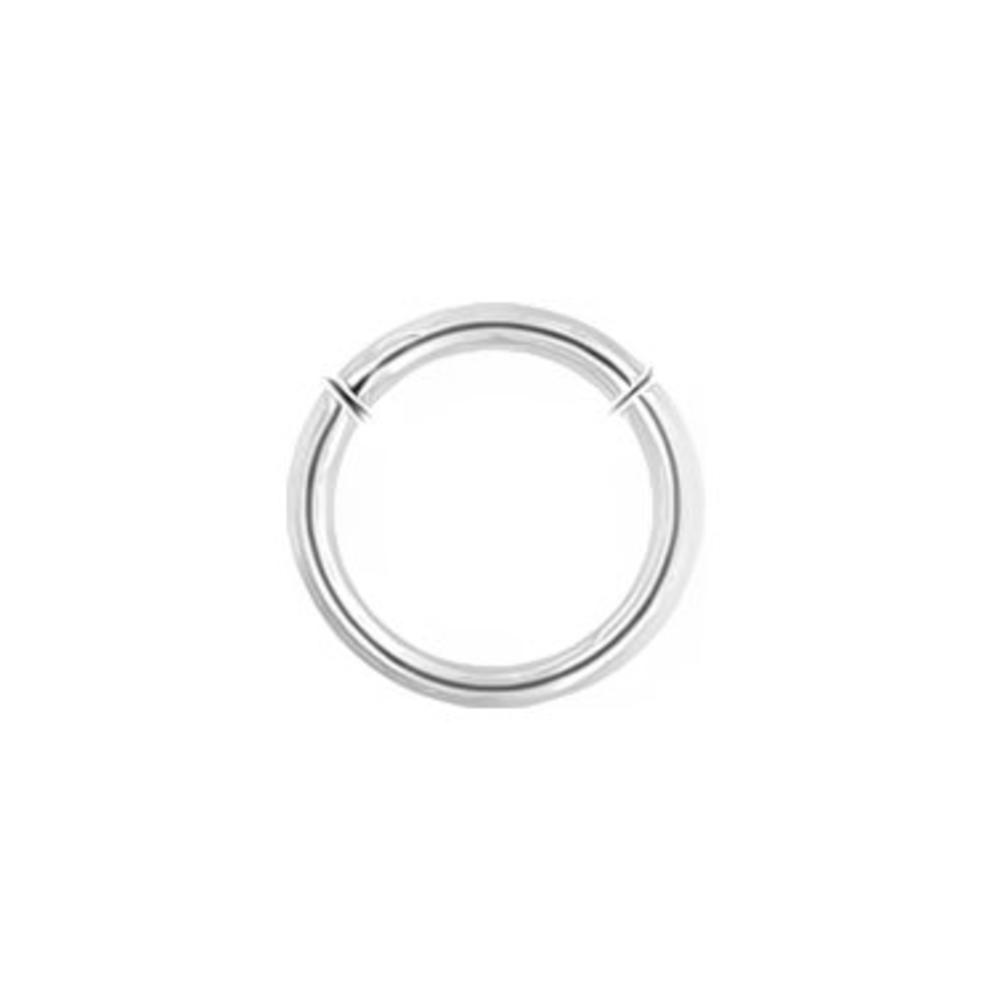 Surgical Steel Click Ring Basic - Piercings Works