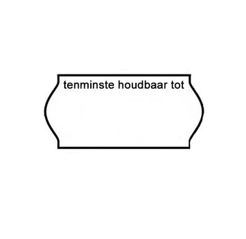 BLITZ etiketten 26x12 wit - 12 rol - tenminste houdbaar tot