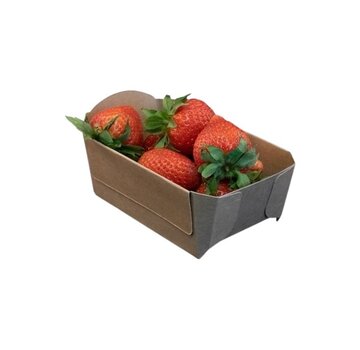 Aardbeienbakjes FSC Karton 250 gram