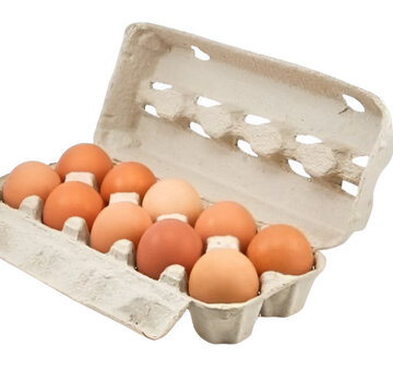 Pulp eierdozen voor 10 eieren