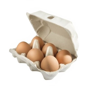 Pulp eierdozen voor 6 eieren