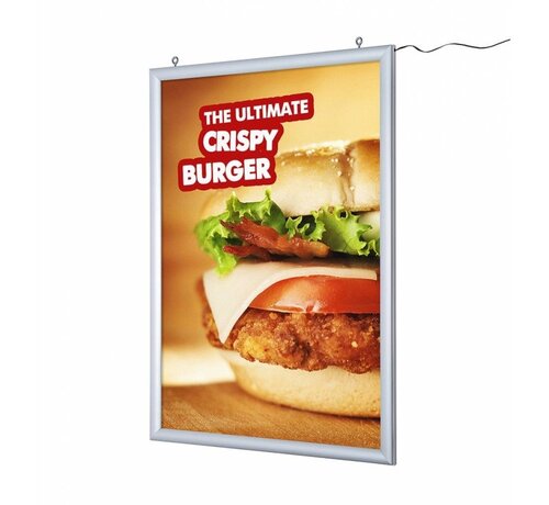 Verlicht Poster Frame Met Print