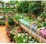 Winkelmaterialen Tuincentra