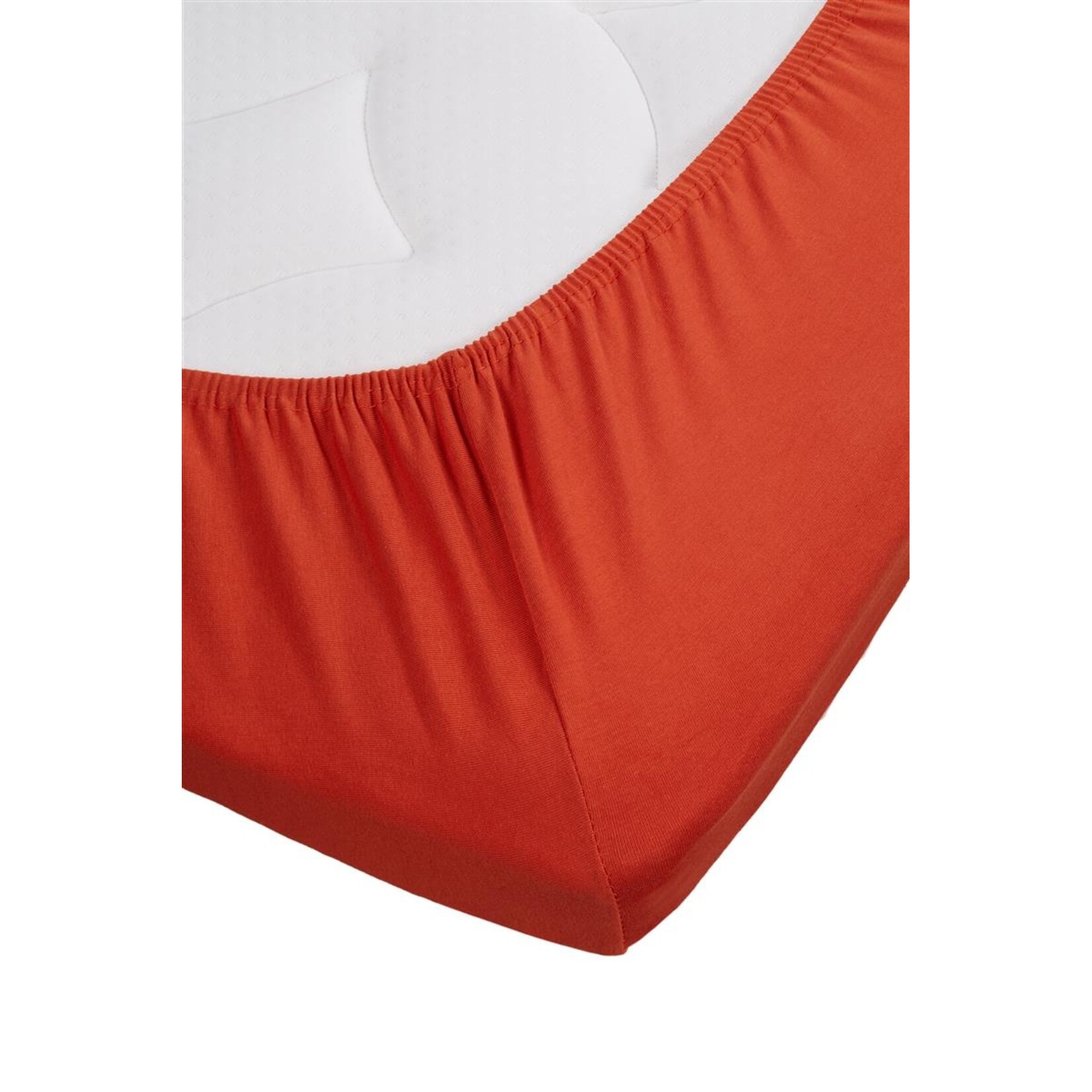 Beddinghouse Jersey Lycra Topper Hoeslaken - Koraal