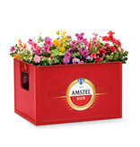 Amstel krat (zonder vakverdeling)