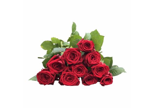 Frische Schnittblumen zum Muttertag – bezahlbare-blumen.de - Bezahlbare ...