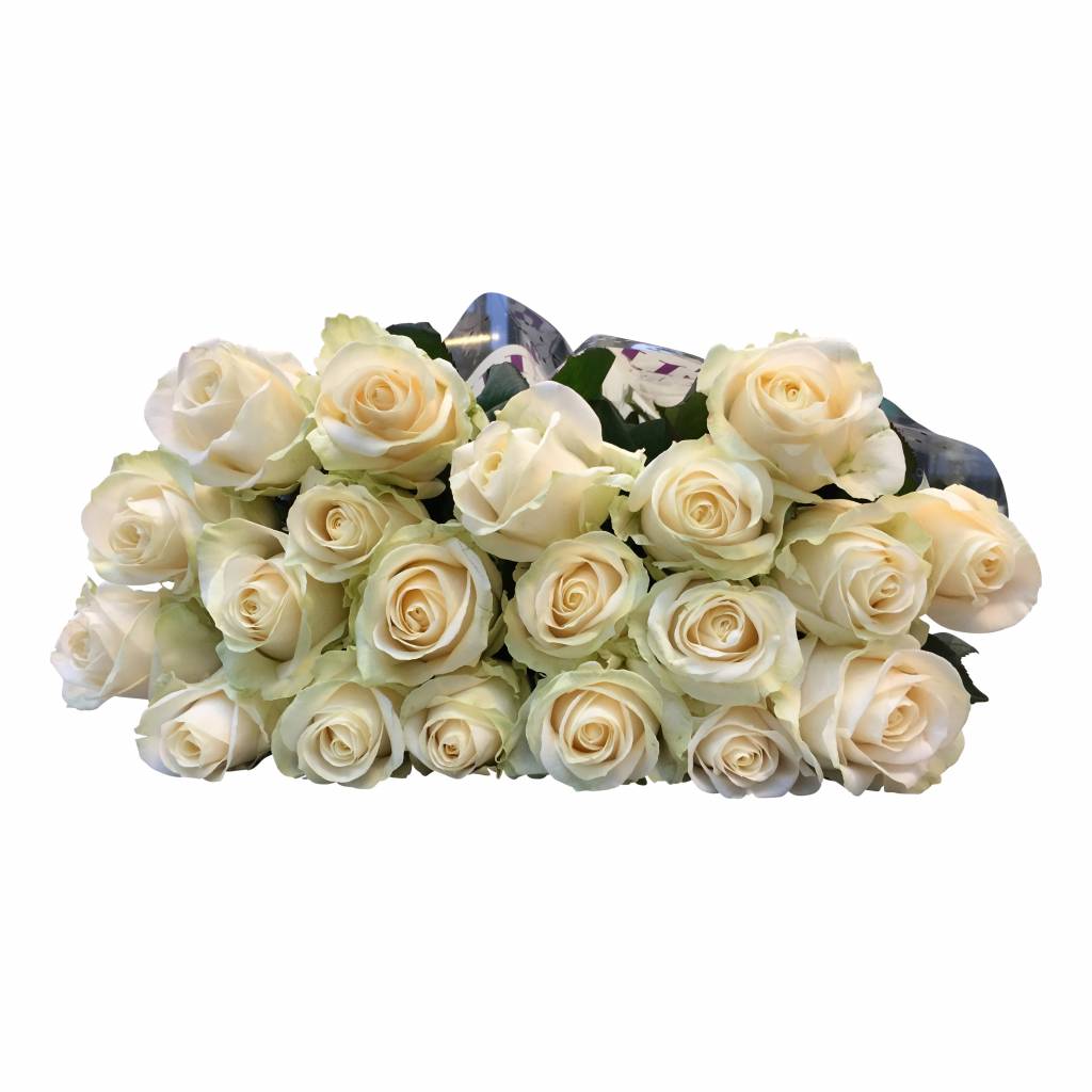 expressversand blumen