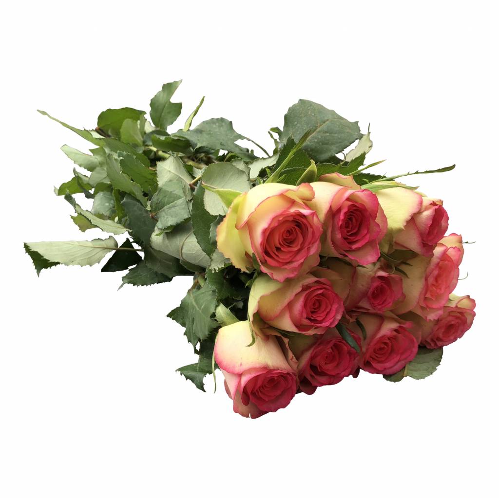 expressversand blumen