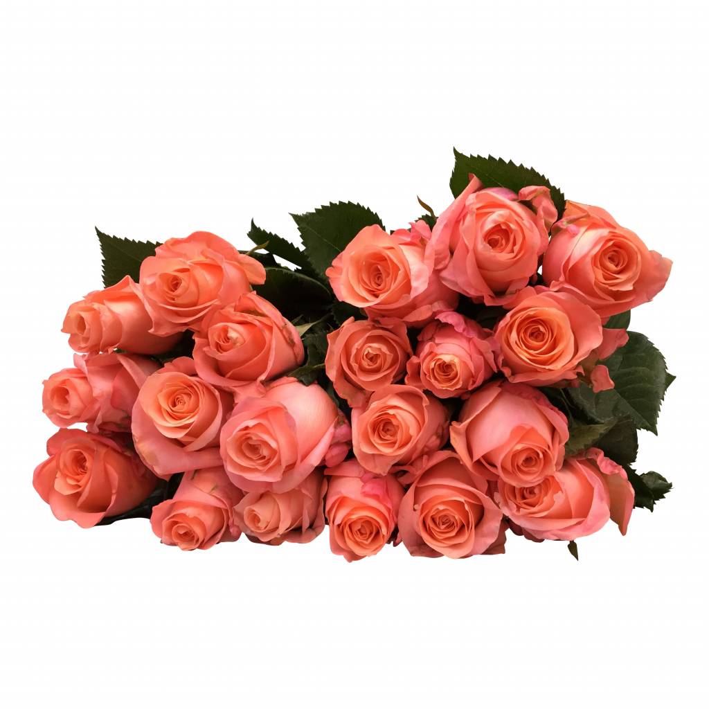 expressversand blumen