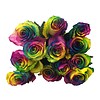 10 Rosen Rainbow