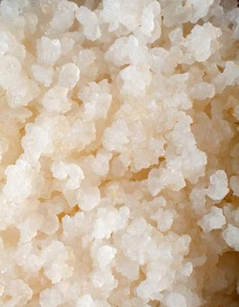 Verse waterkefir korrels