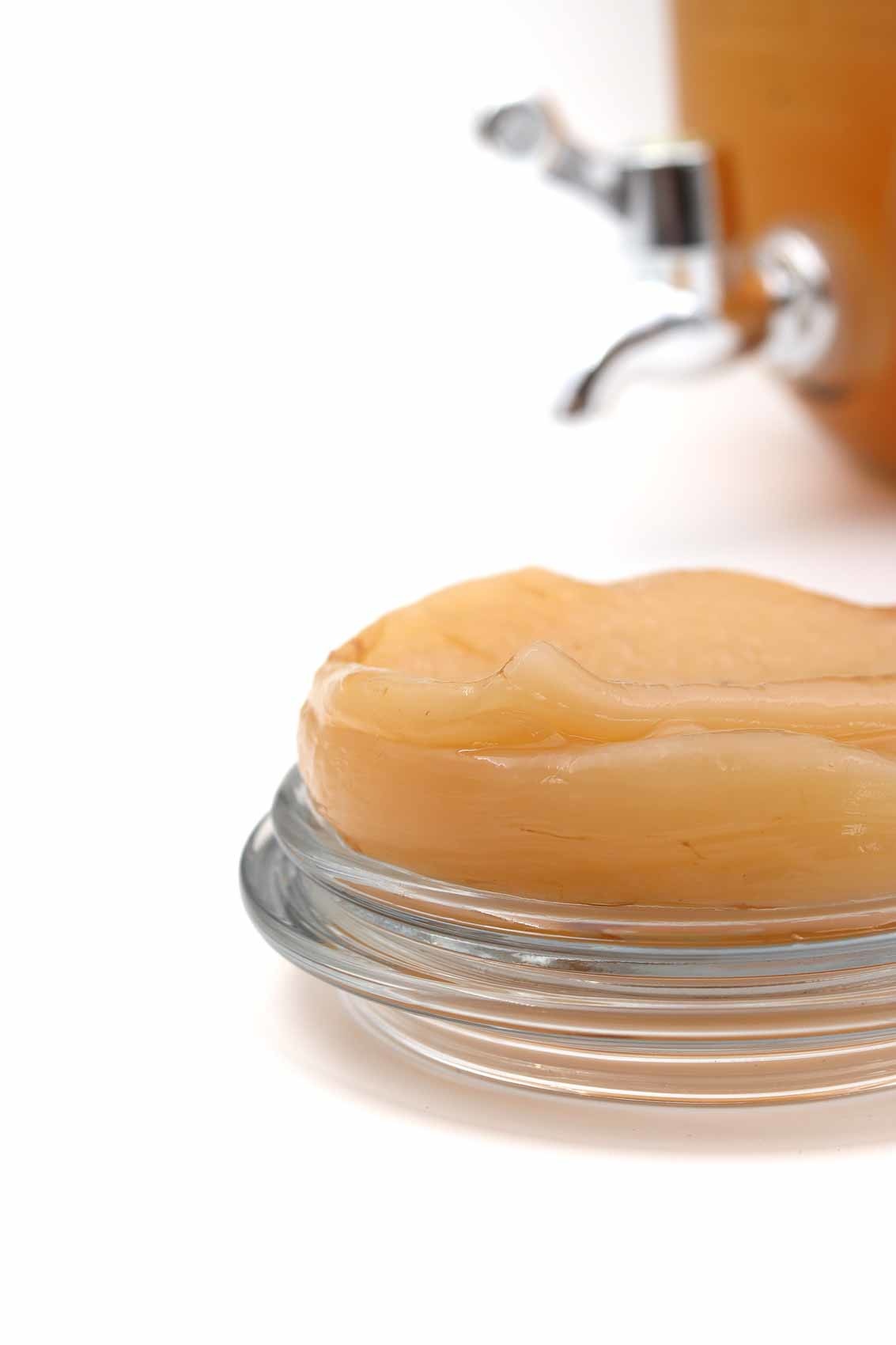 Kombuchazwam "Scoby" met 100 ml startdrank