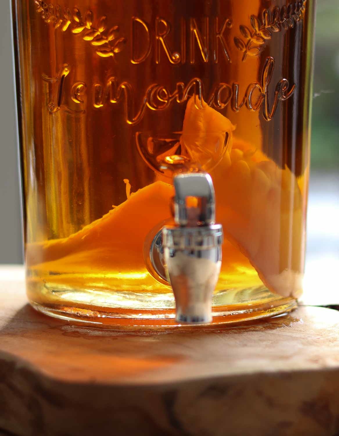 Kombuchazwam "Scoby" met 100 ml startdrank