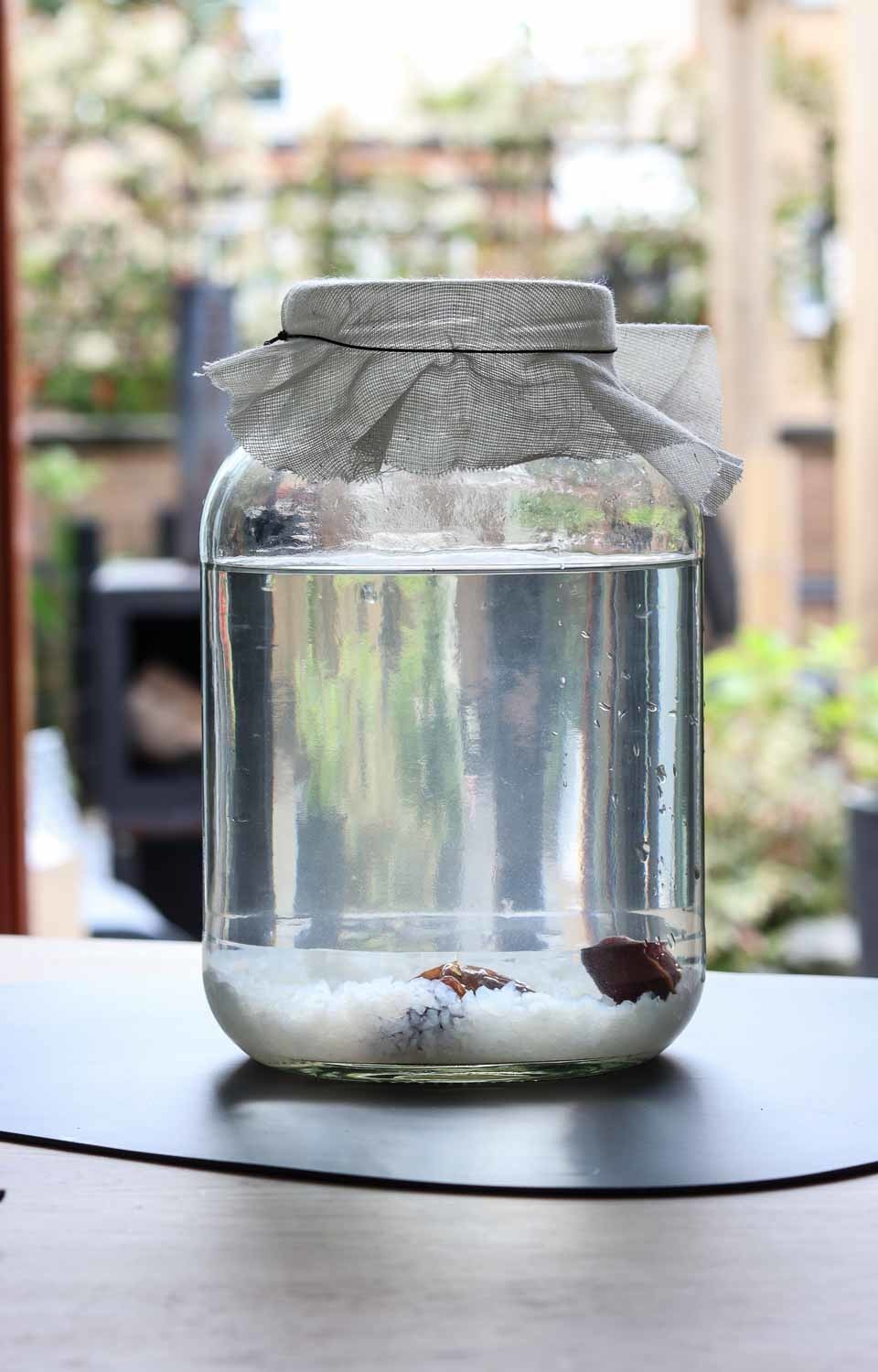 Glazen 2,5 liter kombucha of kefirpot