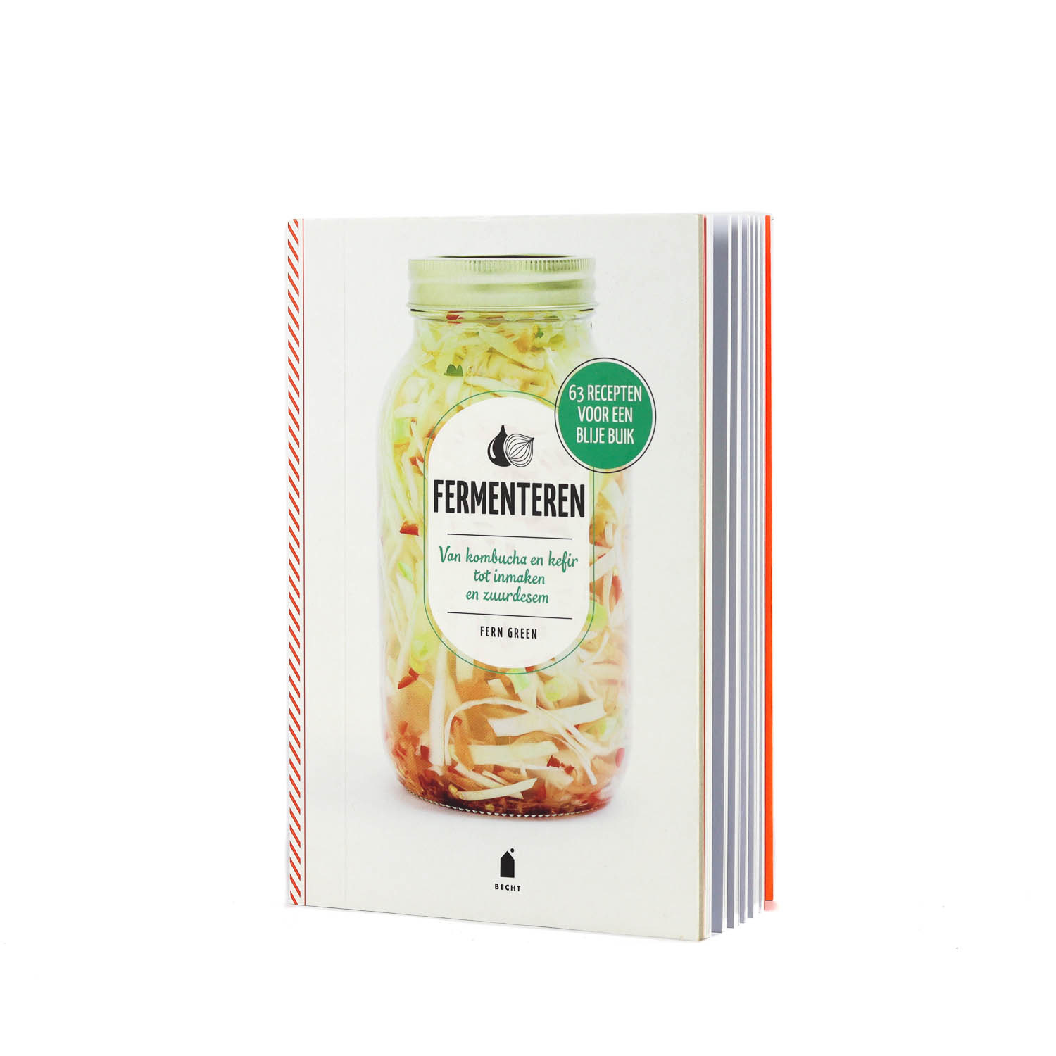 Boek: Fermenteren, Fern Green