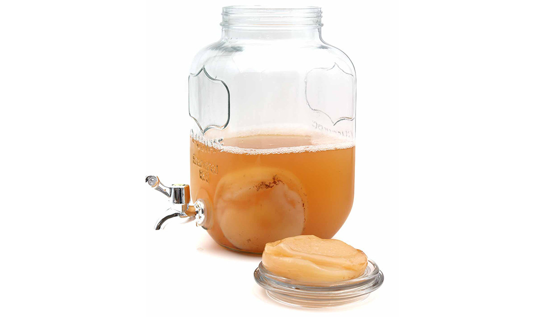 Kombuchazwam "Scoby" met 100 ml startdrank