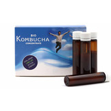 Kombucha concentraat 14 stuks