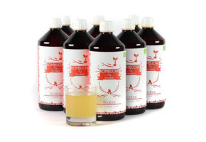 BIO Kombucha Rooibos kant-en-klaar - 8 x 1 liter