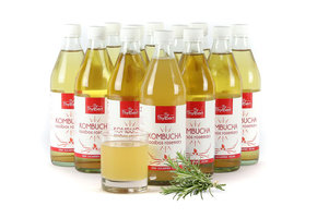 BIO Kombucha Rooibos kant-en-klaar -  11 + 1 gratis