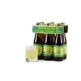 BIO Kombucha Green Tea Basic 6 x 25 cl