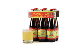 BIO Kombucha Rooibos Basic 6 x 25 cl