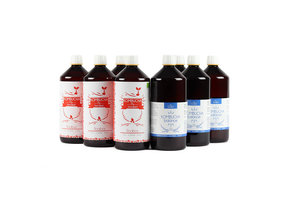 BIO Kombucha voordeel abonnement 8 liter