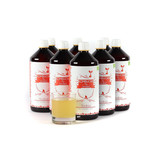 BIO Kombucha voordeel abonnement 8 liter