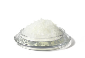 Verse waterkefir korrels