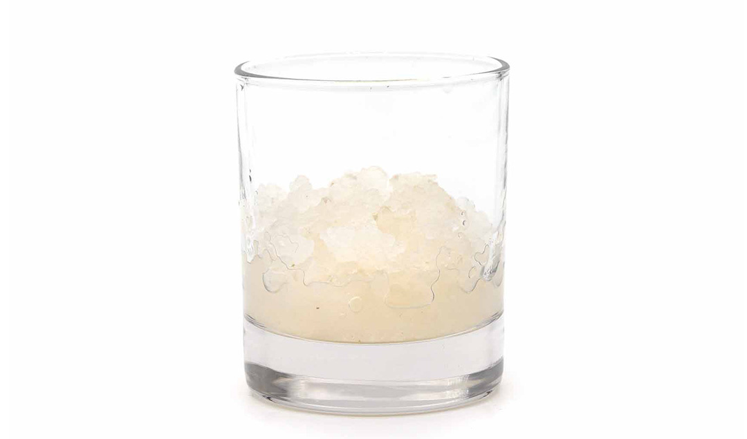 Verse waterkefir korrels