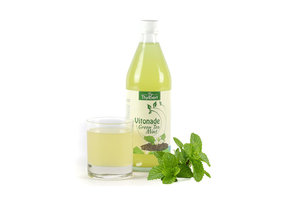 BIO frisdrank Groene Thee Mint