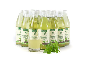 BIO frisdrank Groene Thee Mint - 11 + 1 gratis