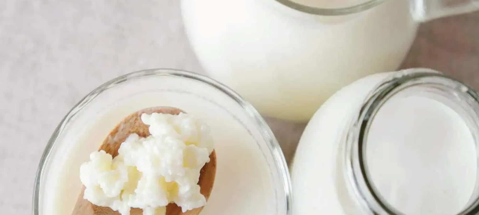 Kefir vs. Yakult en yoghurt: Wat is beter?