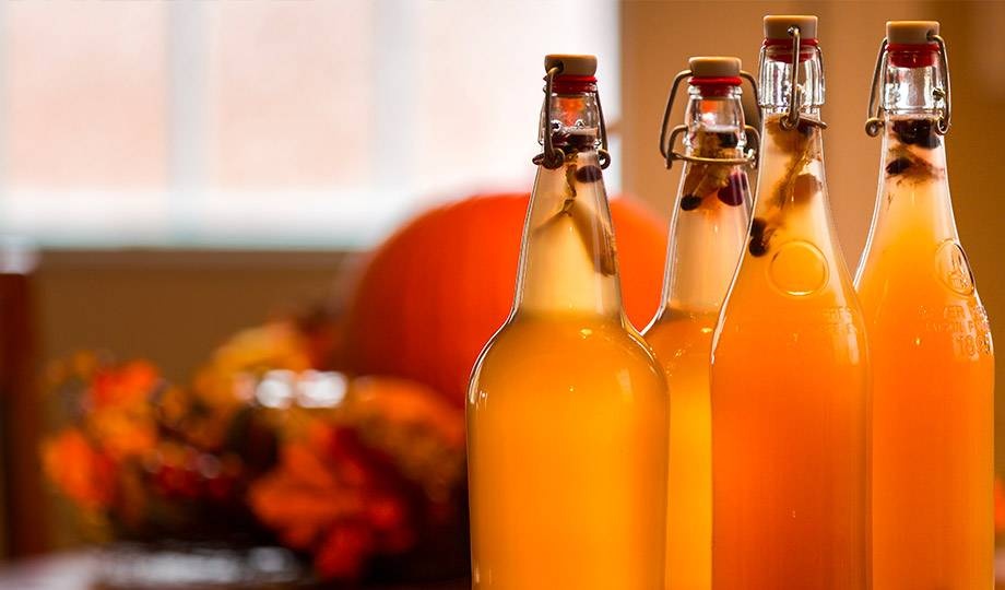 De top 10 voordelen van Kombucha