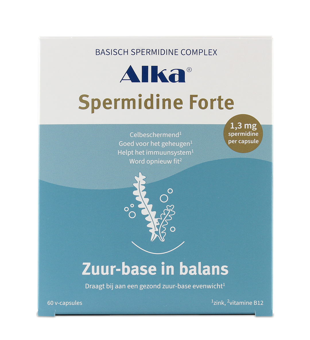 Alka Basisch Spermidine complex