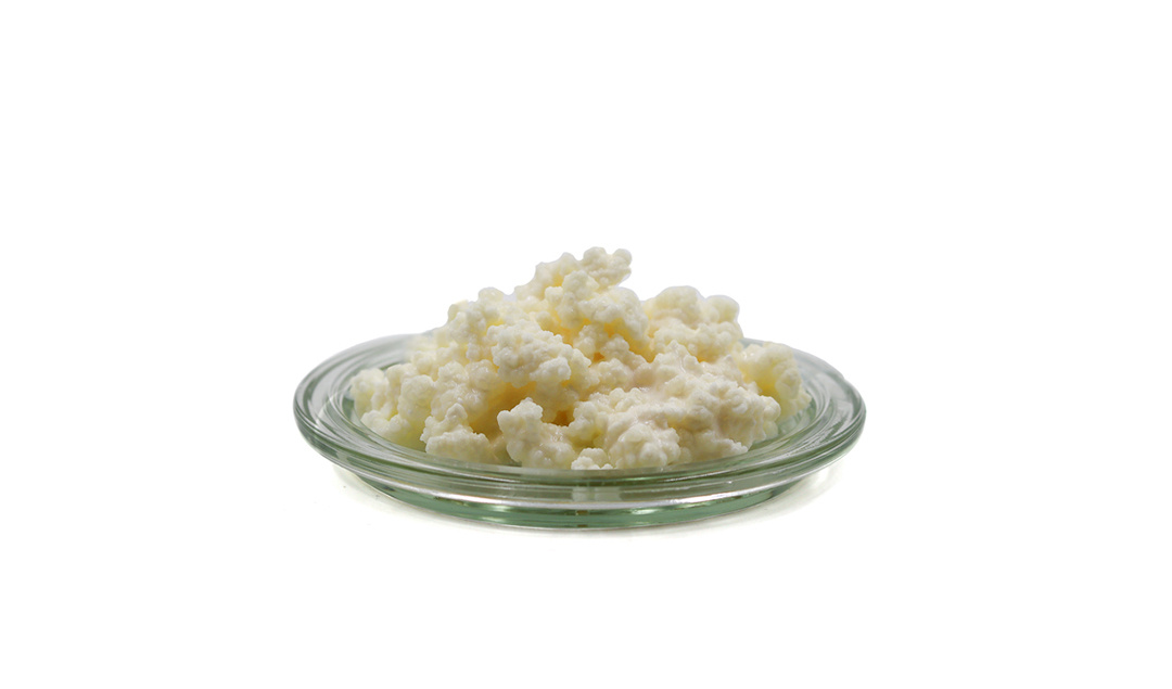 Hoe lang melk kefir fermenteren?