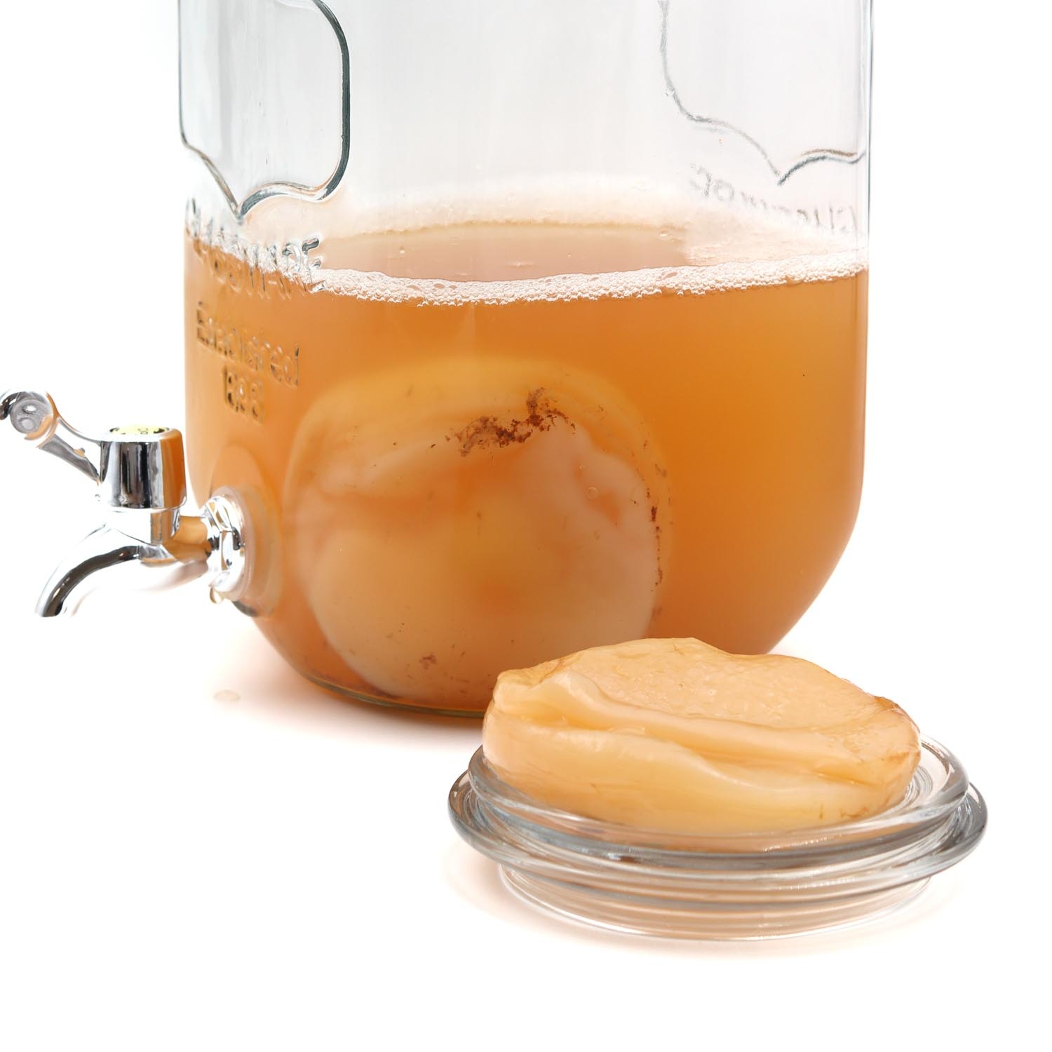 Hoe kombucha zwam bewaren