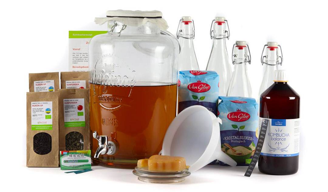 Zelf Kombucha maken