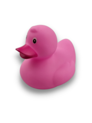  Rubber duck Pink